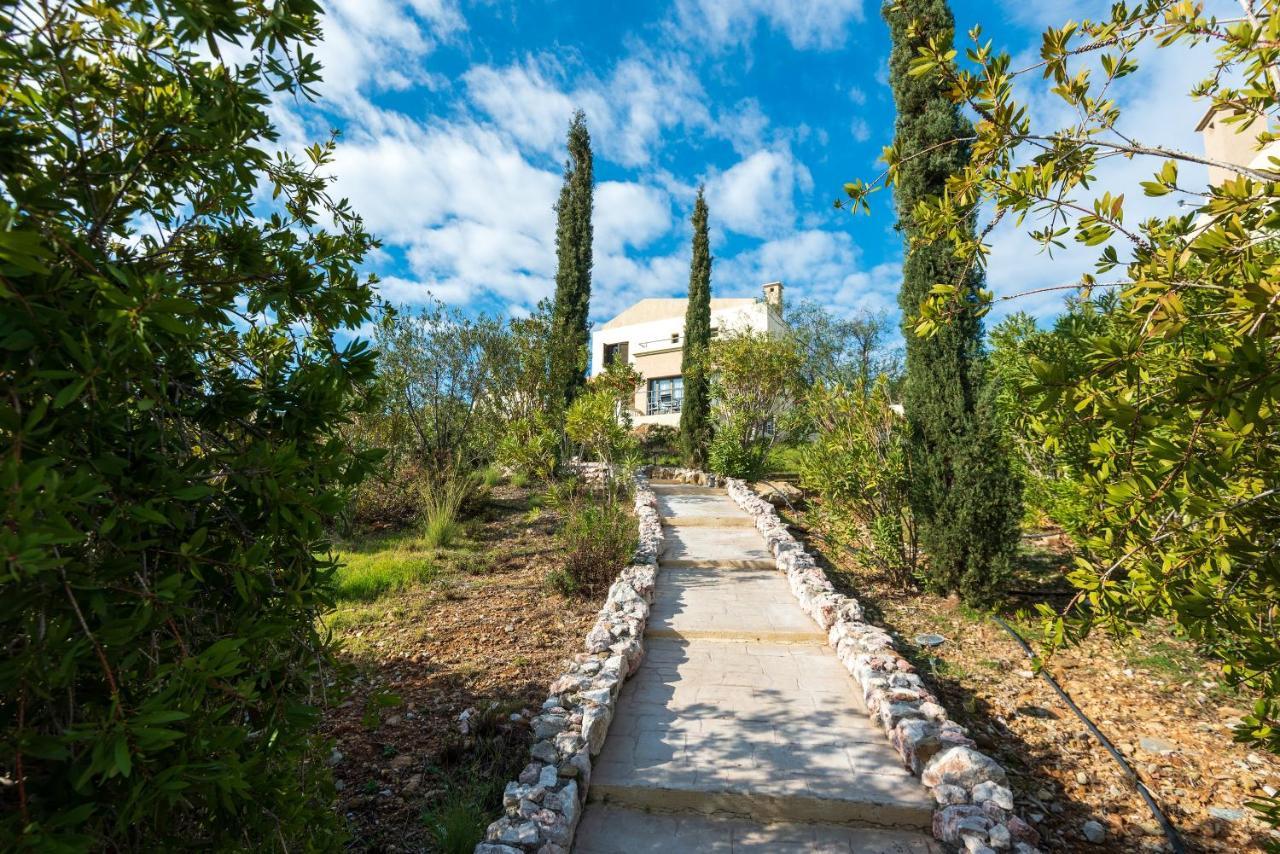 Aegean Blue Villa'S Κάλαθος Εξωτερικό φωτογραφία